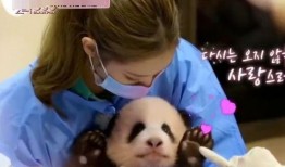 潮汕双儿熊猫爆料视频,揭秘幕后故事与趣味瞬间