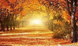 秋天妈妈最新爆料图片,秋日风情尽显母爱光辉