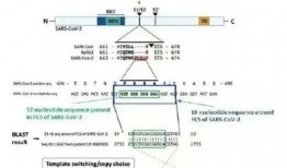 英国爆料新冠美国新闻,英国独家曝光美国新冠真相