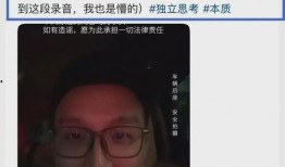 爆料卓仕琳和她老板视频,一场职场伦理的争议风暴