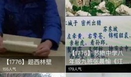 东坡爆料视频大全最新,揭秘娱乐圈幕后真相
